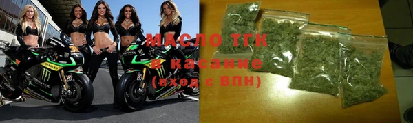 индика Богородск