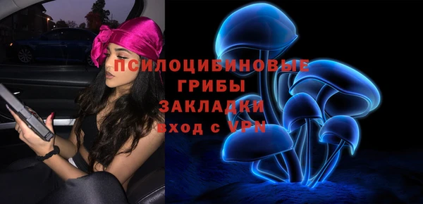 индика Богородск