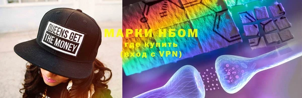 индика Богородск