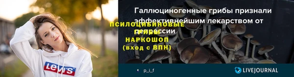 2c-b Богородицк
