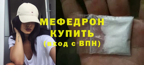 индика Богородск