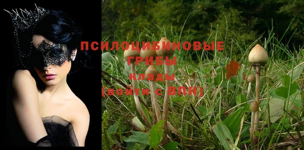 мет Богданович