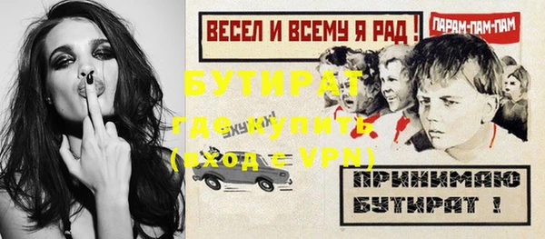 индика Богородск