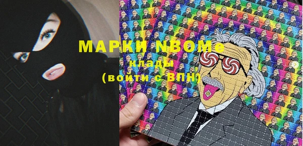 индика Богородск
