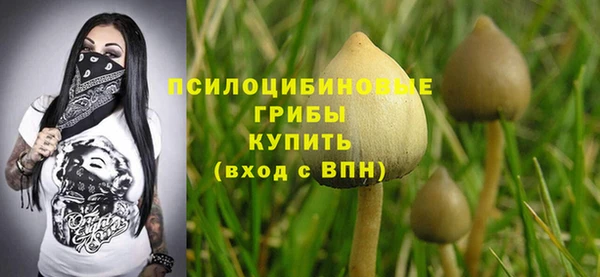 2c-b Богородицк