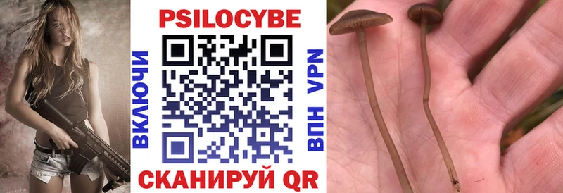 Галлюциногенные грибы Magic Shrooms  наркотики  ссылка на мегу как войти  Духовщина 
